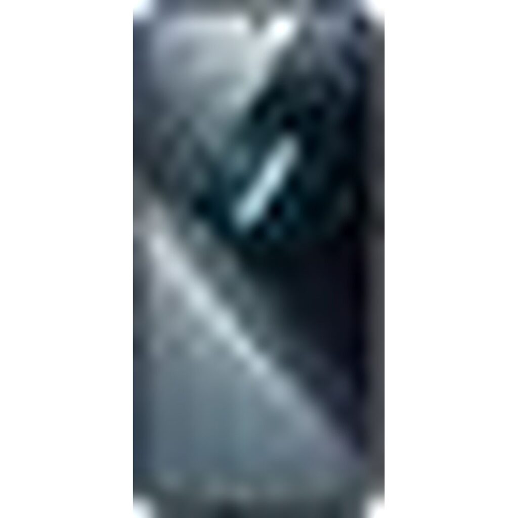 M0812257_1